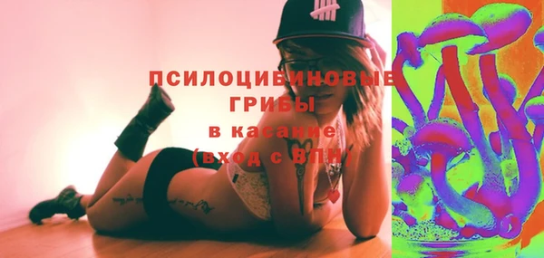 ПСИЛОЦИБИНОВЫЕ ГРИБЫ Армянск