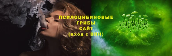 ПСИЛОЦИБИНОВЫЕ ГРИБЫ Армянск