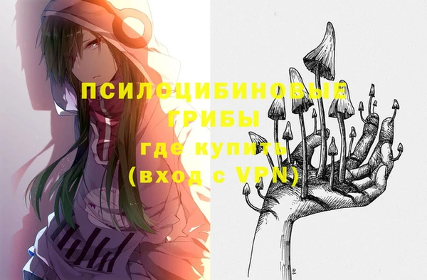 mix Арсеньев